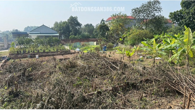 BÁN ĐẤT GIÁ TỐT – HƠN 50M² – Ô TÔ VÀO TẬN ĐẤT – CÁCH TỈNH LỘ 100M – TÀI CHÍNH CHỈ NHỈNH 1 TỶ